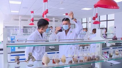 濰城:做強(qiáng)科技創(chuàng)新的"人才引擎"